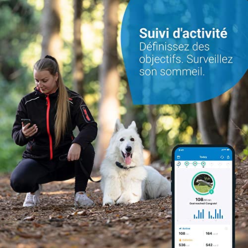 Tractive - Collier GPS pour chien - Tata'Sitter